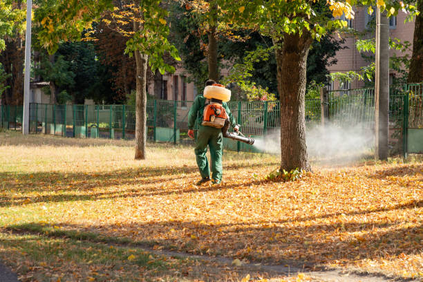 Best Pest Control Near Me  in Mills River, NC